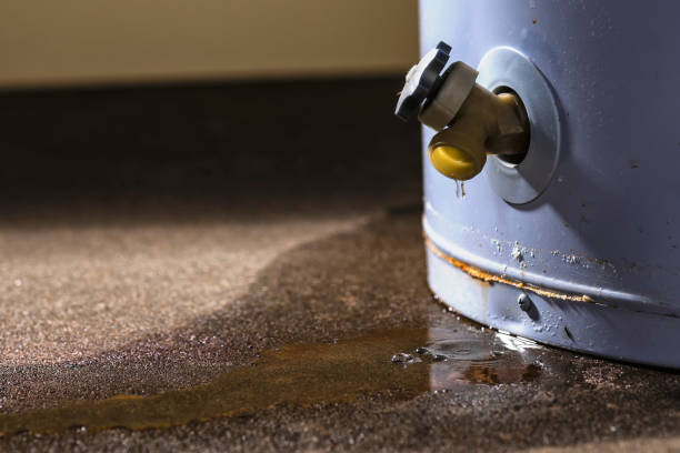 Best Water damage contractors near me  in Colchester, IL