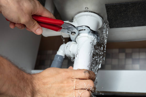 Best Water damage contractors near me  in Colchester, IL