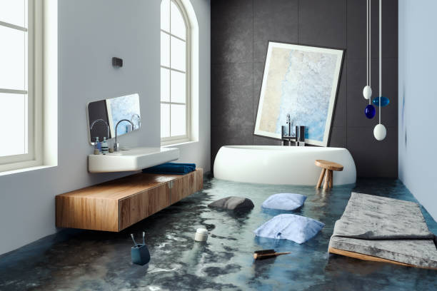 Best Sewage cleanup and water damage restoration  in Colchester, IL