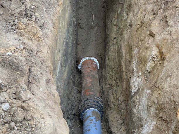 Best 24-hour water damage restoration  in Colchester, IL