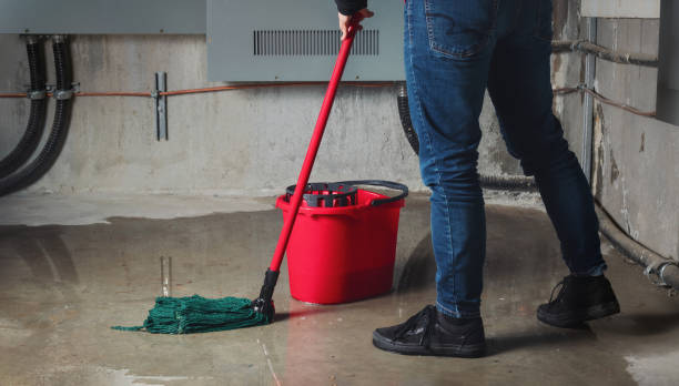 Best Flood restoration services  in Colchester, IL
