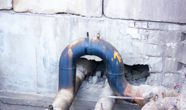 Best Carpet water damage restoration  in Colchester, IL