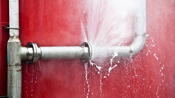 Best Basement water damage restoration  in Colchester, IL